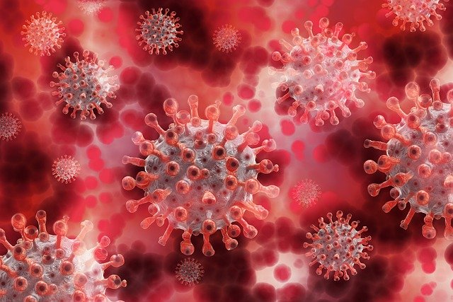obrázek koronaviru
